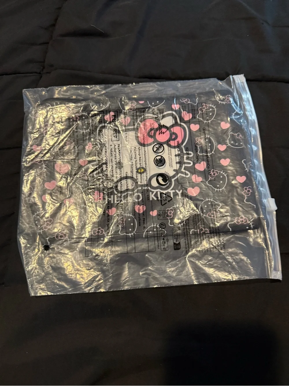 Hello Kitty Makeup Bag
